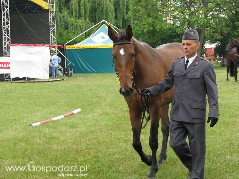 Wystawa Koni Sielinko 2011