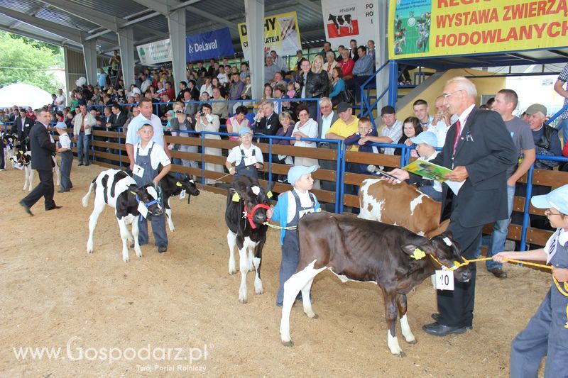 Młody hodowca na XVIII Regionalnej Wystawie Zwierząt Hodowlanych w Szepietowie