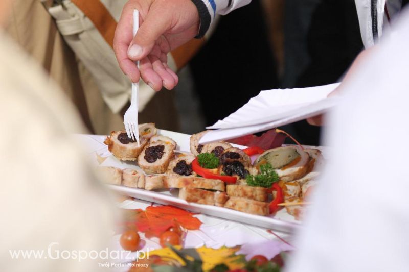 Święto Indyka w Ostródzie