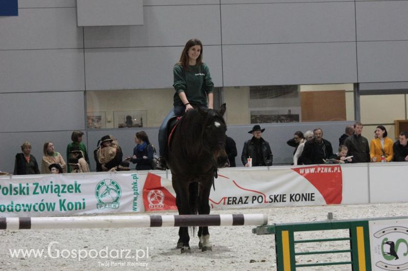 CAVALIADA 2013 w Poznaniu
