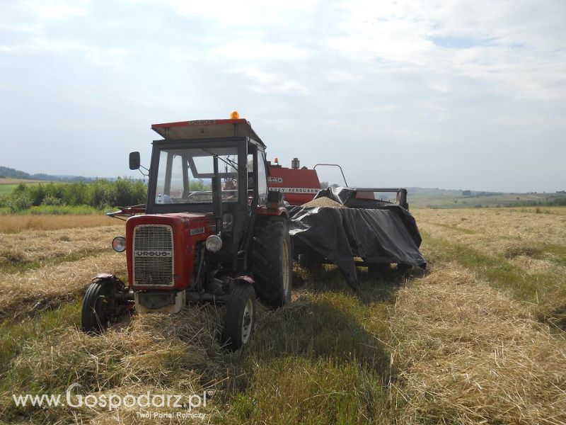Piotrek9095,Żniwa 2012