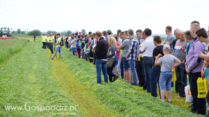 ZIELONE AGRO SHOW 2017 w Ułężu