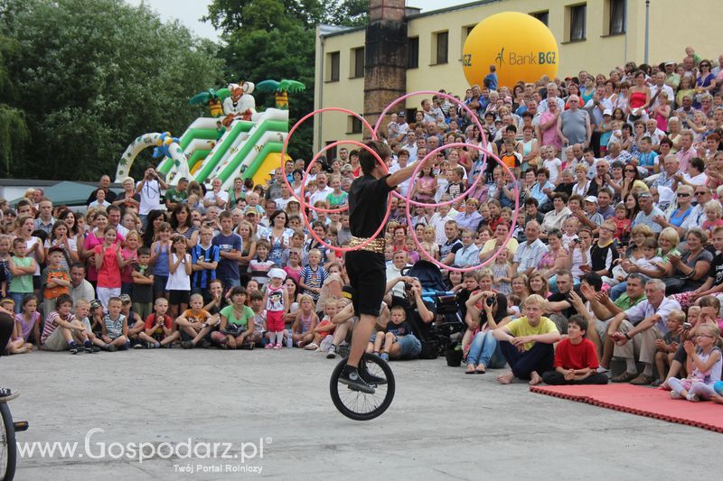 VIII Święto Gęsi w Biskupcu