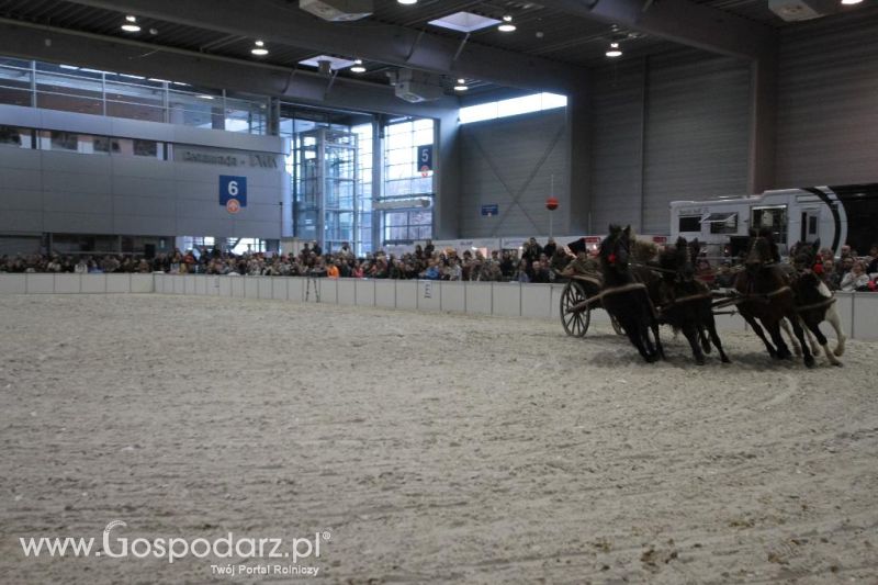 CAVALIADA 2013 w Poznaniu