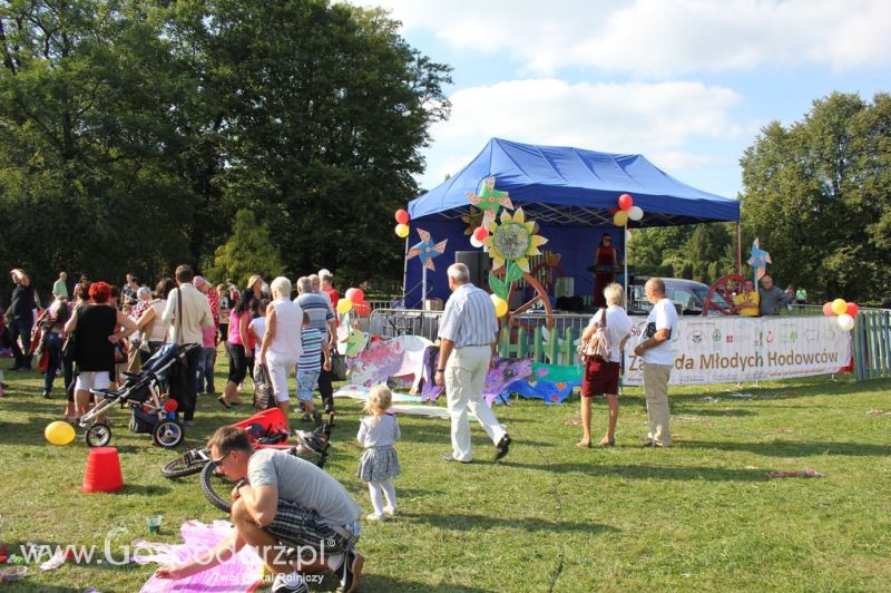Świętomięs Polski w Chorzowie