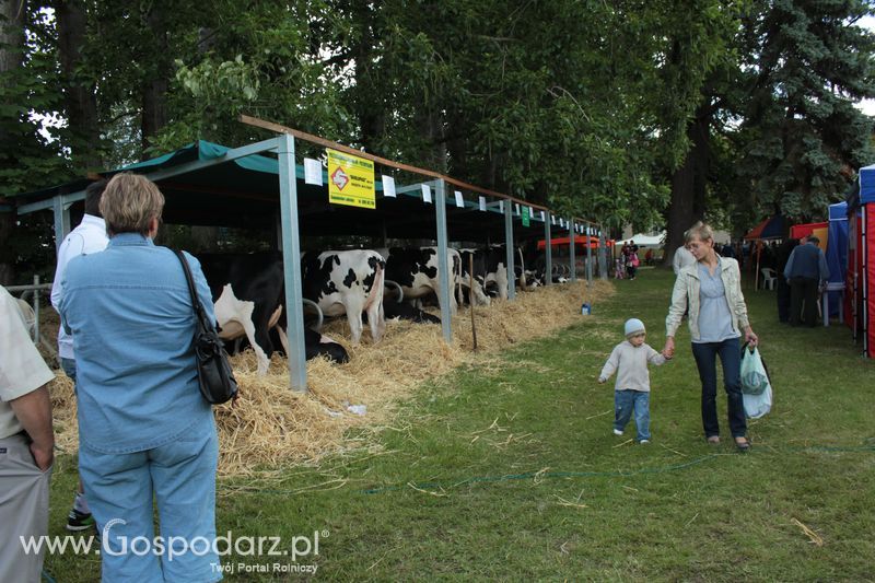 XX Targi Rolnicze Lubniewice 