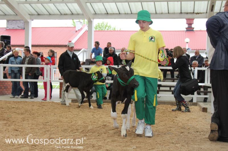 Mali Hodowcy VII Ogólnopolska Wystawa Bydła Hodowlanego w Sielinku 2012