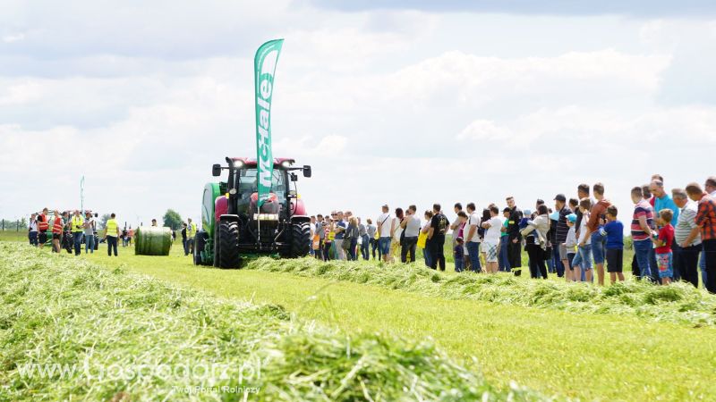 ZIELONE AGRO SHOW 2017 w Ułężu