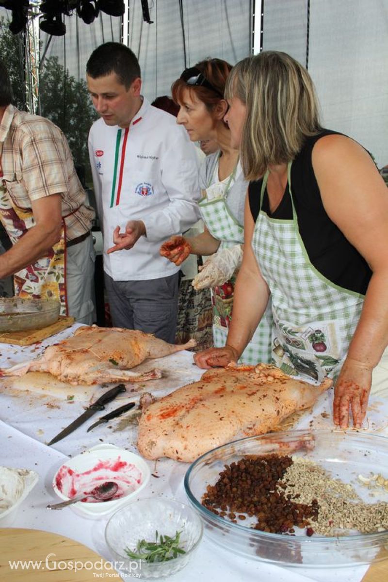 VIII Święto Gęsi w Biskupcu