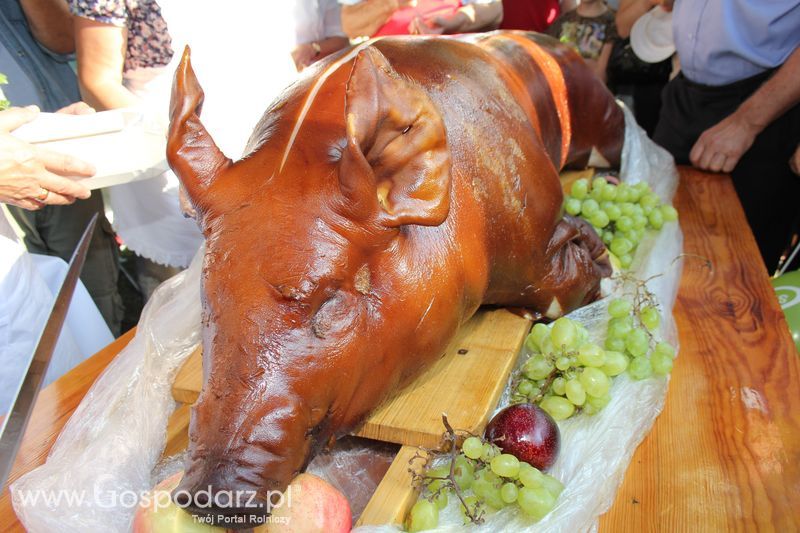 Ogólnopolski Festiwal Wieprzowiny w Łasinie