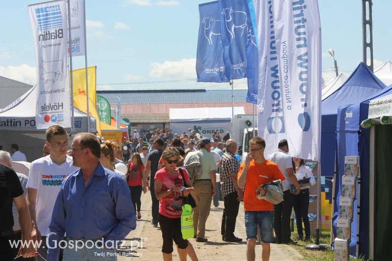 Targi rolne w Szepietowie (27-28.06.2015)
