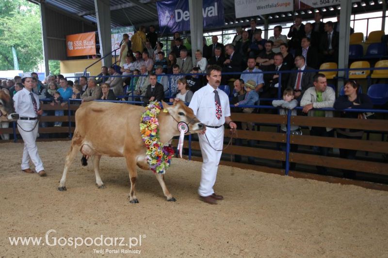 VIII Ogólnopolska Wystawa Bydła Hodowlanego, XXI Regionalna Wystawa Zwierząt Hodowlanych i Dni z Doradztwem Rolniczym w Szepietowie