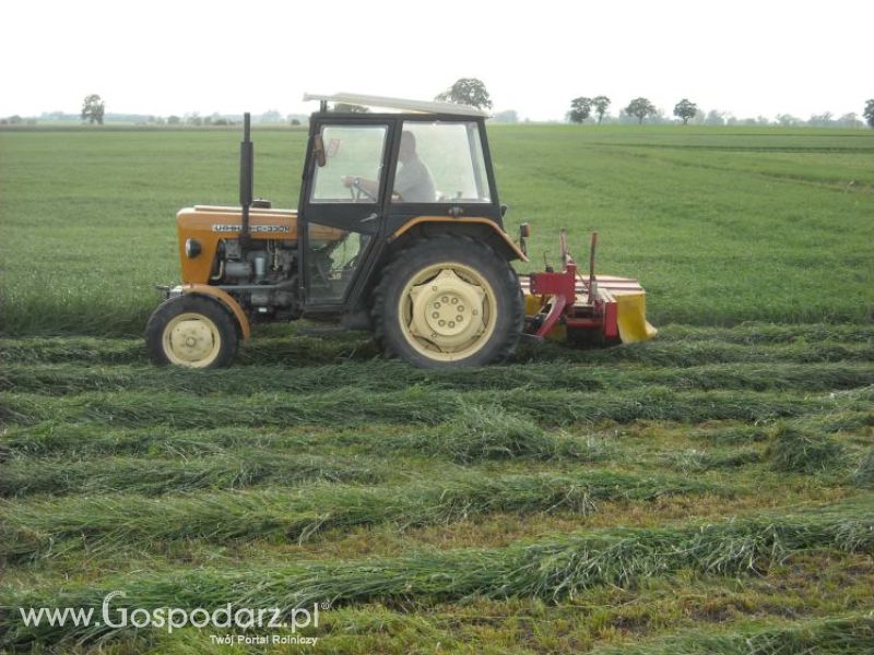 pierwsze sianokosy w roli głownej ursus c330M...