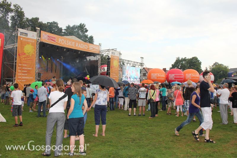 Pora na Pomidora w Gnieźnie