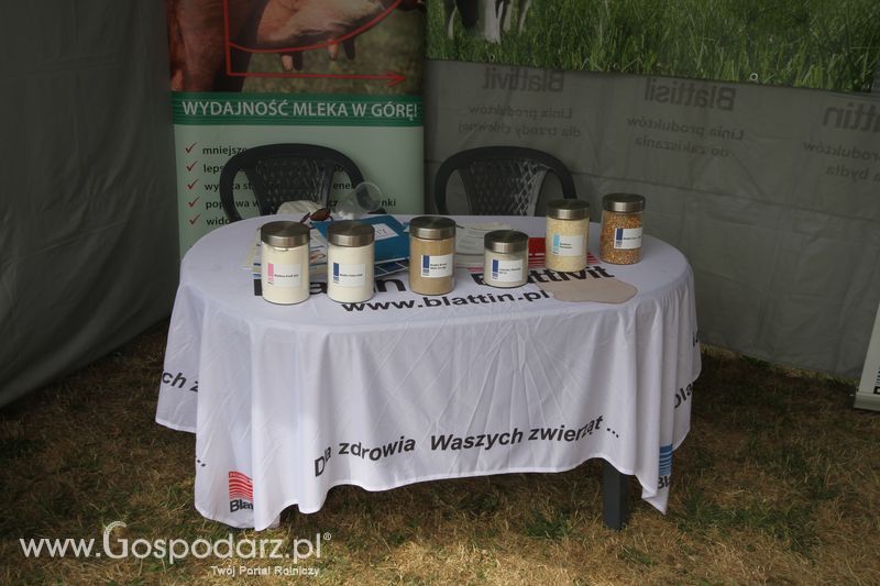 Zielone AGRO SHOW - Polskie Zboża 2015 w Sielinku