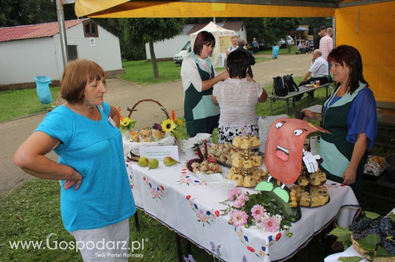 XIX Krajowe Dni Ziemniaka w Marszewie