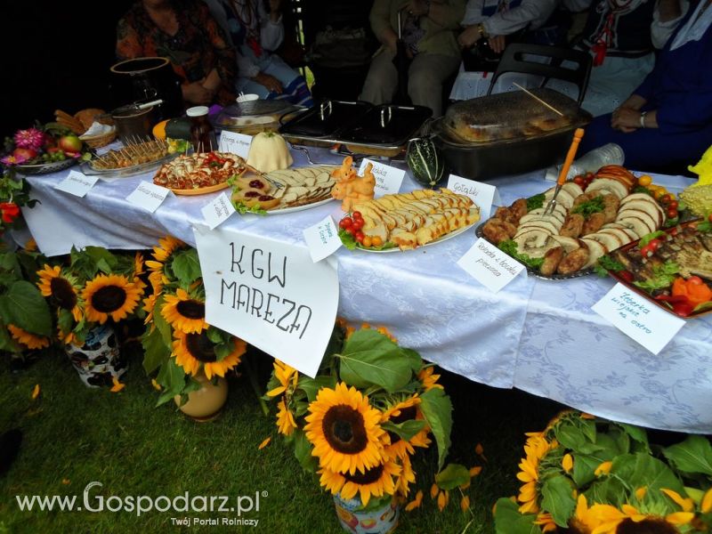 II Festiwal Wieprzowiny w Kwidzyniu