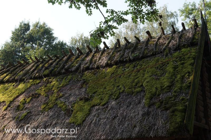 Biskupin - wioska pierwszych rolników