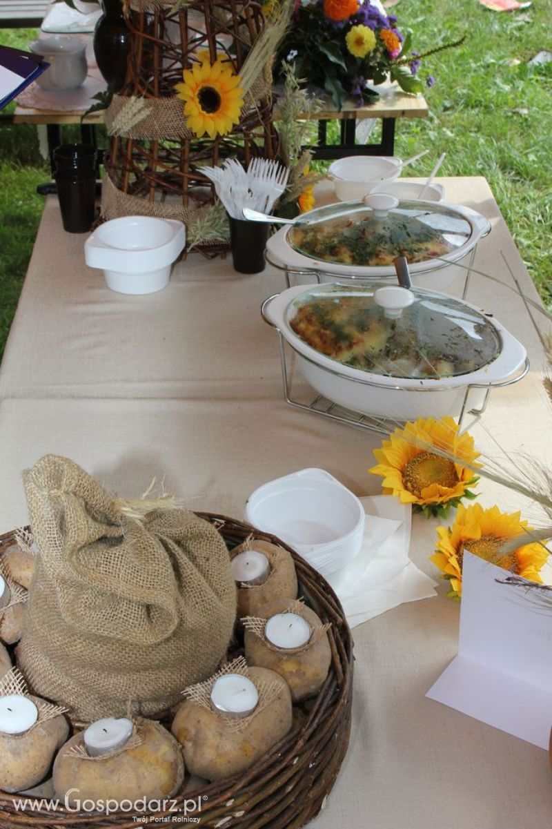 XIX Krajowe Dni Ziemniaka w Marszewie