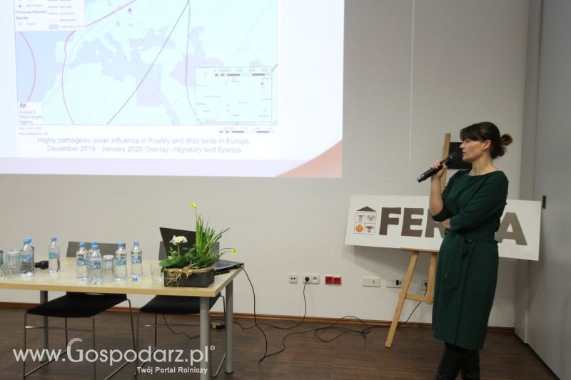 FERMA 2020 dzień 1