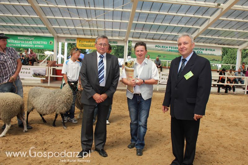 Czempioni XVII Regionalnej Wystawy Zwierząt Hodowlanych Sielinko 2011