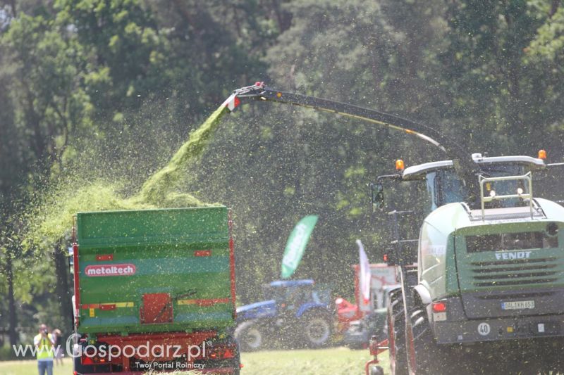 Zielone AGRO SHOW – POLSKIE ZBOŻA 2014 w Sielinku - sobota