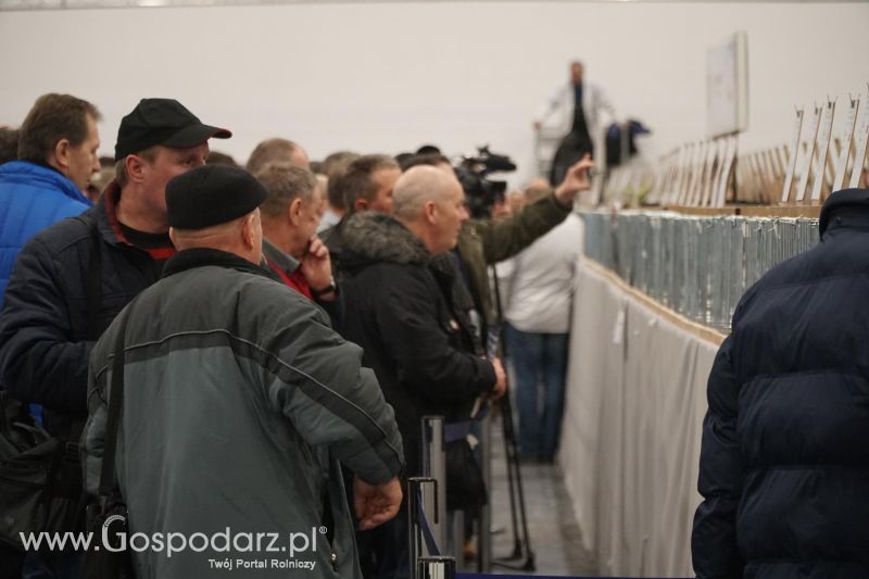 XXXVI Olimpiada Gołębi i Targi Gołębi Pocztowych i Akcesoriów - dzień drugi!