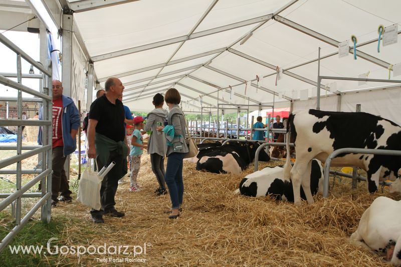 Sobota na Opolagrze 2016 razem z Gospodarz.pl