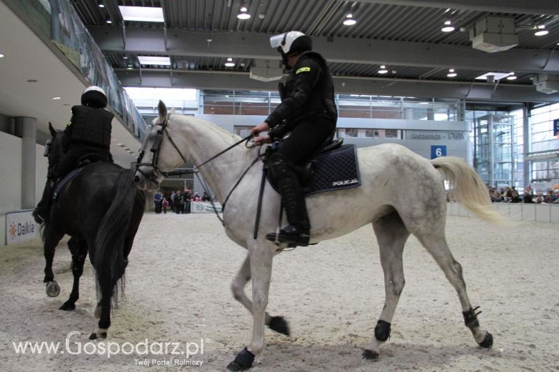 CAVALIADA 2013 w Poznaniu