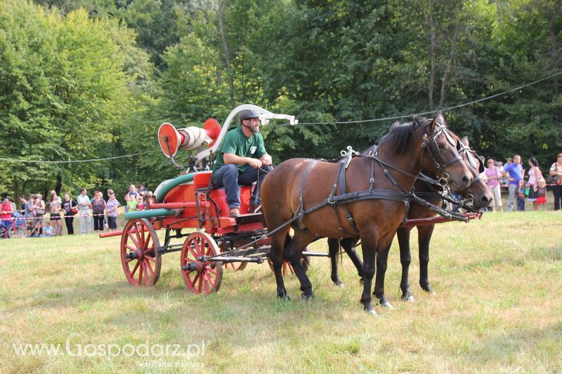 Pokazy konnych sikawek strażackich w Rudawce Rymanowskiej