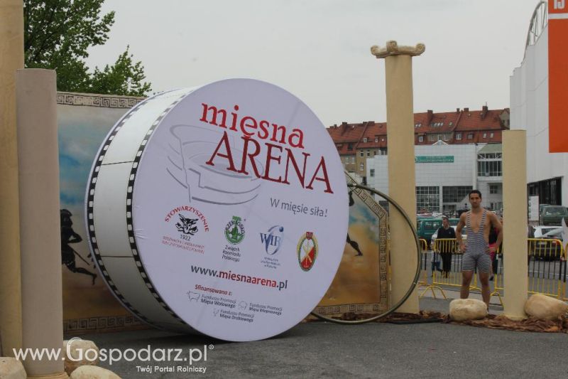 Mięsna Arena 2013 w Poznaniu