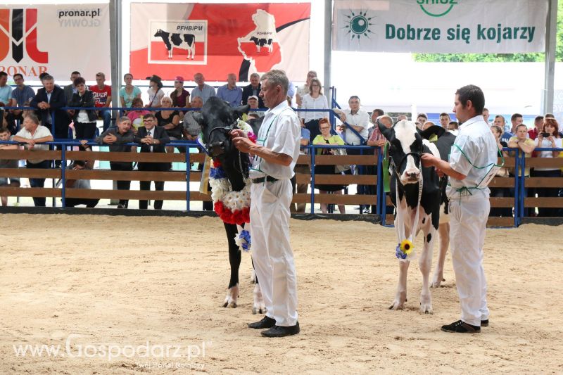 Regionalna Wystawa Zwierząt Hodowlanych i Dni z Doradztwem Rolniczym w Szepietowie 2017 (niedziela)