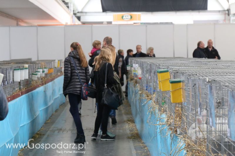 Krajowa Wystawa Zwierząt Hodowlanych w Poznaniu 2017 (piątek, 5 maja)