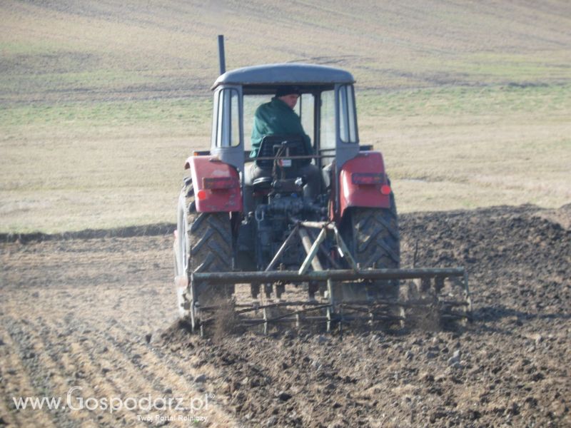 Wiosenne Przesiewki 2012 