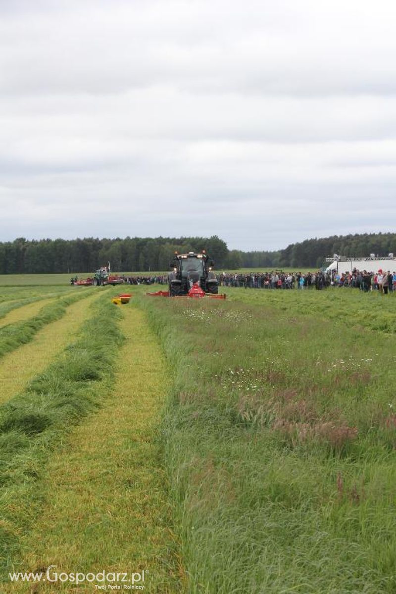 Pokazy maszyn Polskie Zboża Zielone Agro Show 2013