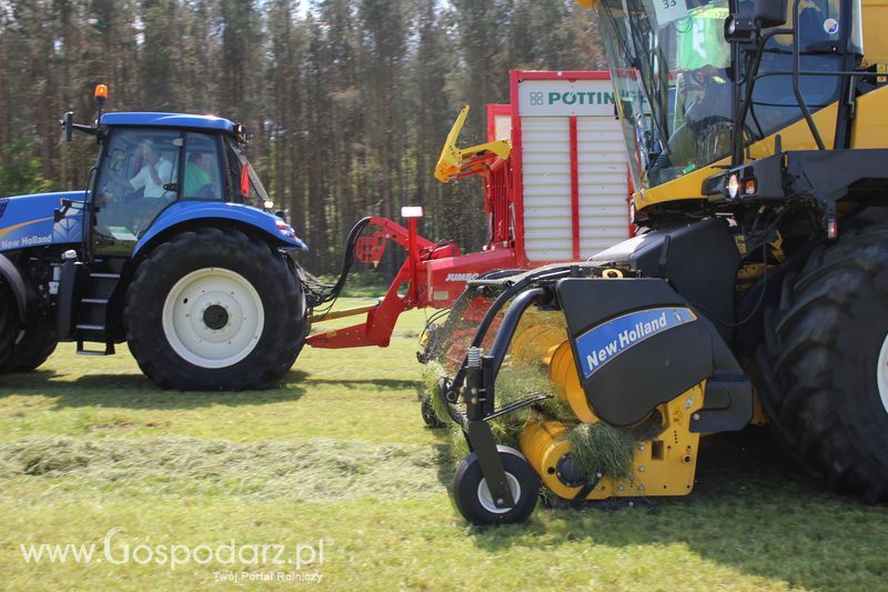 Zielone Agro Show pokaz maszyn rolniczych