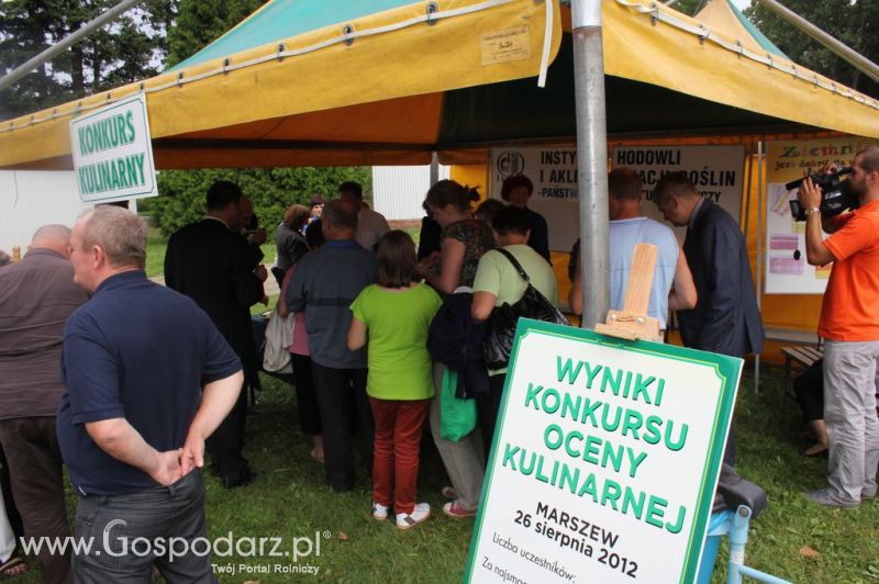XIX Krajowe Dni Ziemniaka w Marszewie