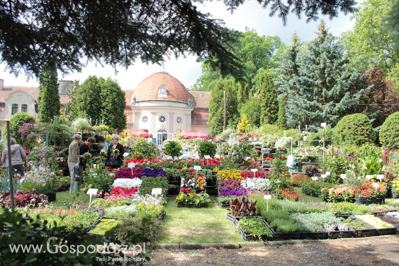 XX Targi Rolnicze Lubniewice 