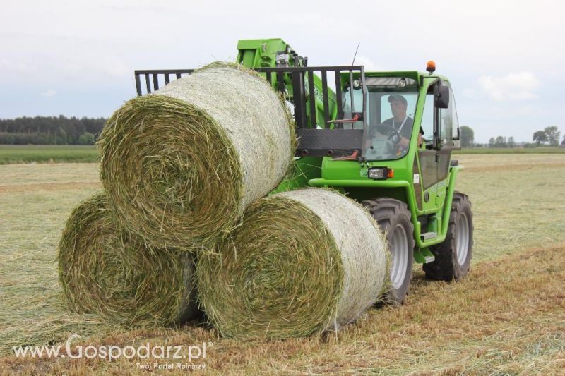 Pokazy polowe Romanów k/Krotoszyna