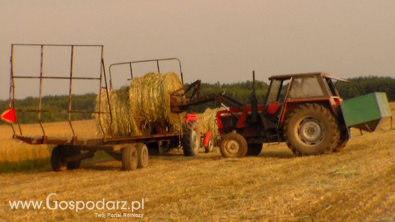 Zbiór Słomy 2013