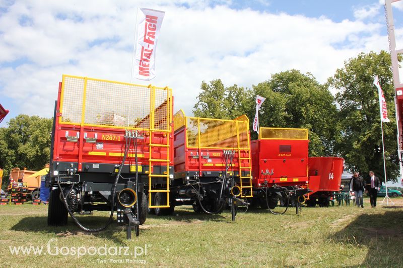 XVIII Regionalna Wystawa Zwierząt Hodowlanych i Dni z Doradztwem Rolniczym w Szepietowie - Sobota