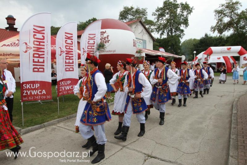 I Krajowa Wystawa Bydła Mięsnego w Sielinku - sobota