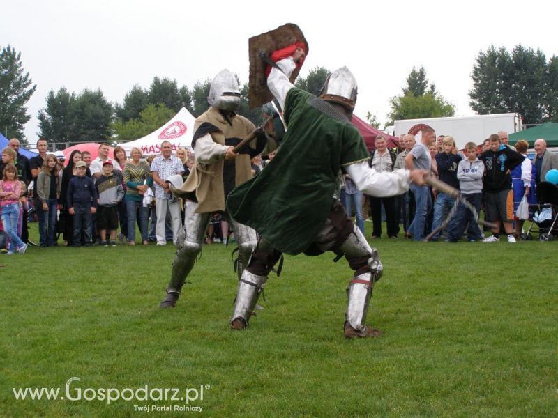 II Festiwal Wieprzowiny w Kwidzyniu