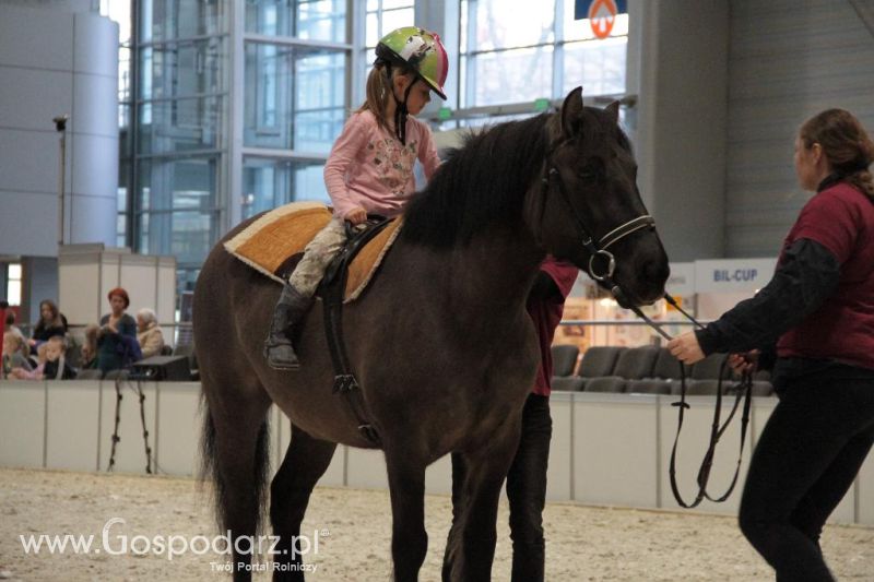 CAVALIADA 2013 w Poznaniu