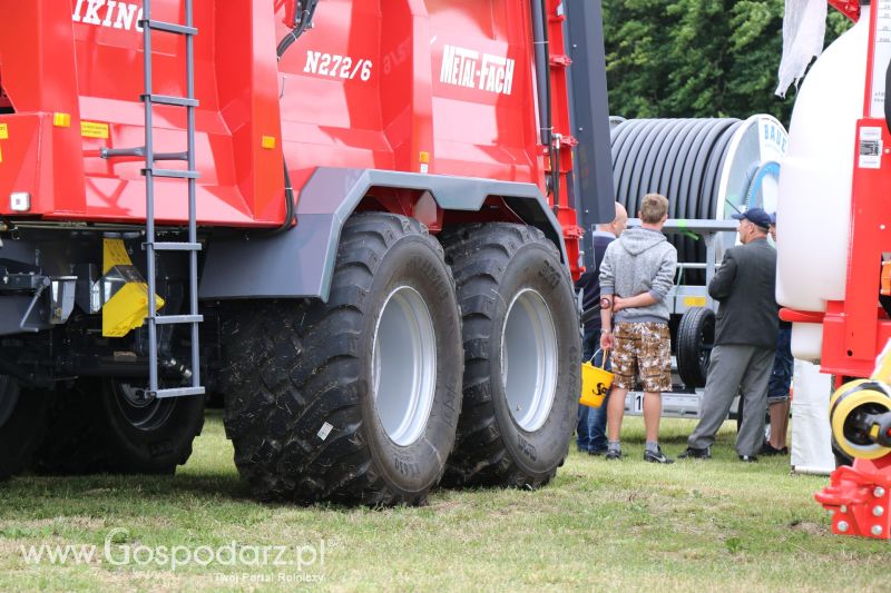Metal-Fach na Regionalnej Wystawie Zwierząt Hodowlanych i Dni z Doradztwem w Szepietowie 2017