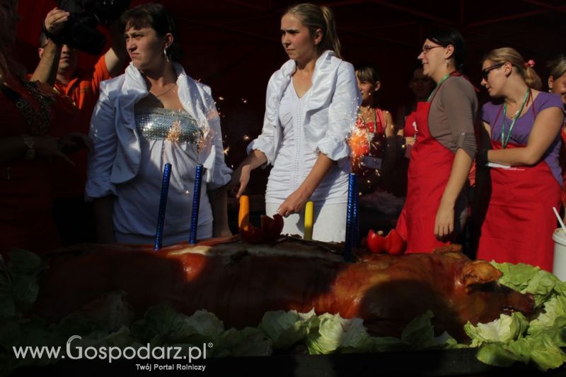 II Festiwal Wieprzowiny w Wąbrzeźnie