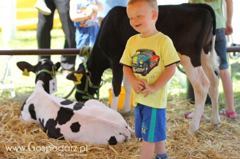 Zielone AGRO SHOW – POLSKIE ZBOŻA 2014 w Sielinku - niedziela