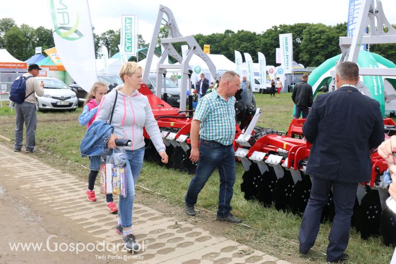 Regionalna Wystawa Zwierząt Hodowlanych i Dni z Doradztwem Rolniczym w Szepietowie 2017