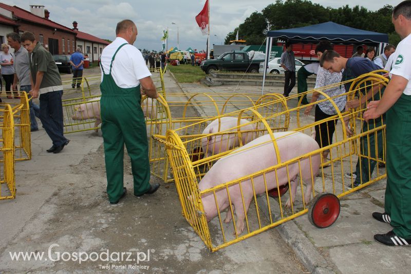 Wielkopolskie Targi Rolnicze „Sielinko 2011”  - Sobota