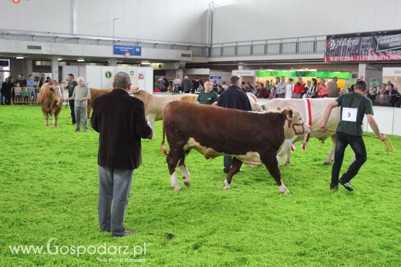 XXVI Krajowa Wystawa Zwierząt Hodowlanych - sobota i niedziela